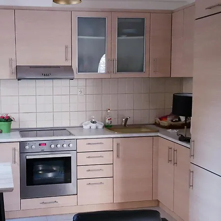 Luxury Apartment